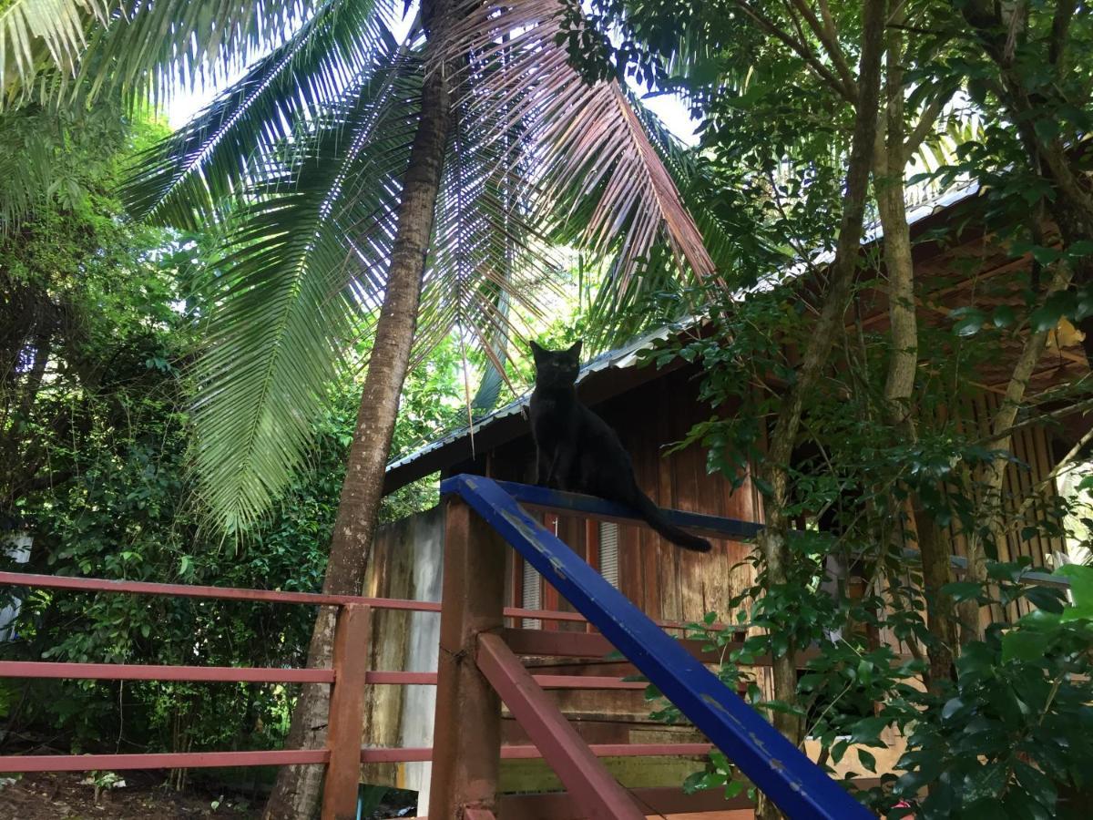 Phayam Garden View Hotel Koh Phayam Exterior photo