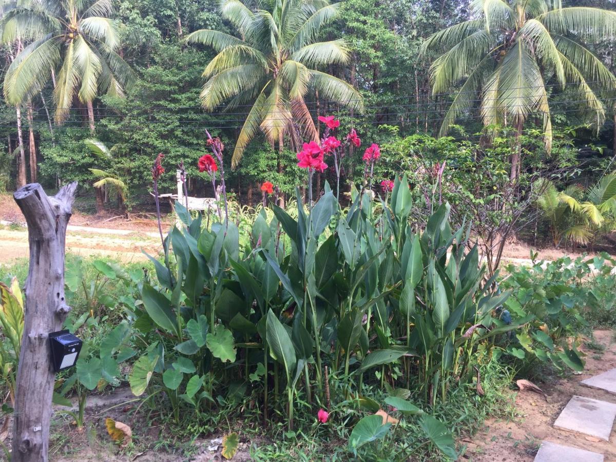 Phayam Garden View Hotel Koh Phayam Exterior photo
